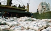 Thành lập Tổ công tác điều hành xuất khẩu gạo