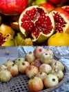 Những hình ảnh giúp dễ dàng phân biệt thực phẩm, rau củ quả TQ